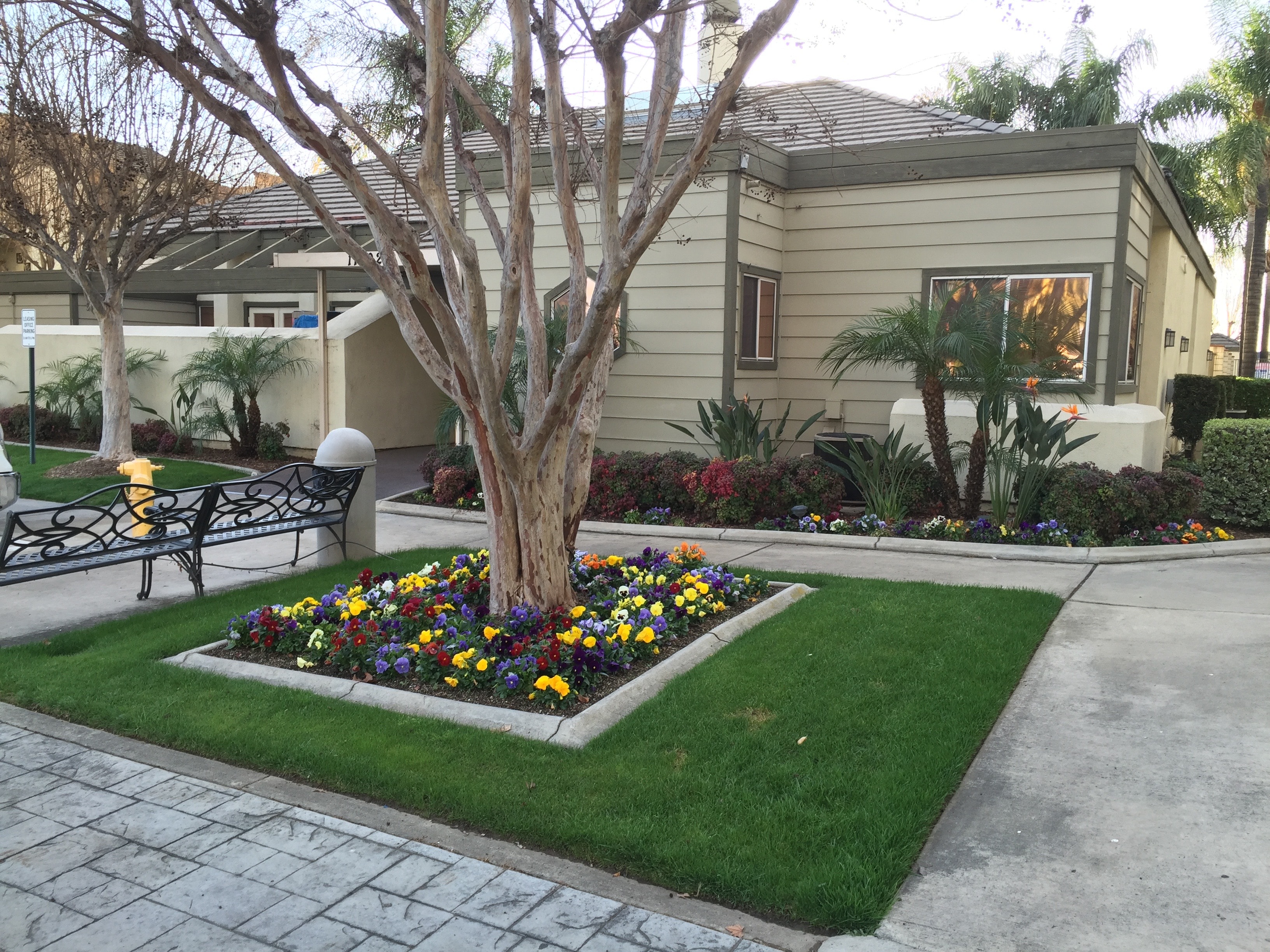Commercial office property with colorful flower beds and manicured turf maintained by Kirton Commercial Landscaping, Inc.