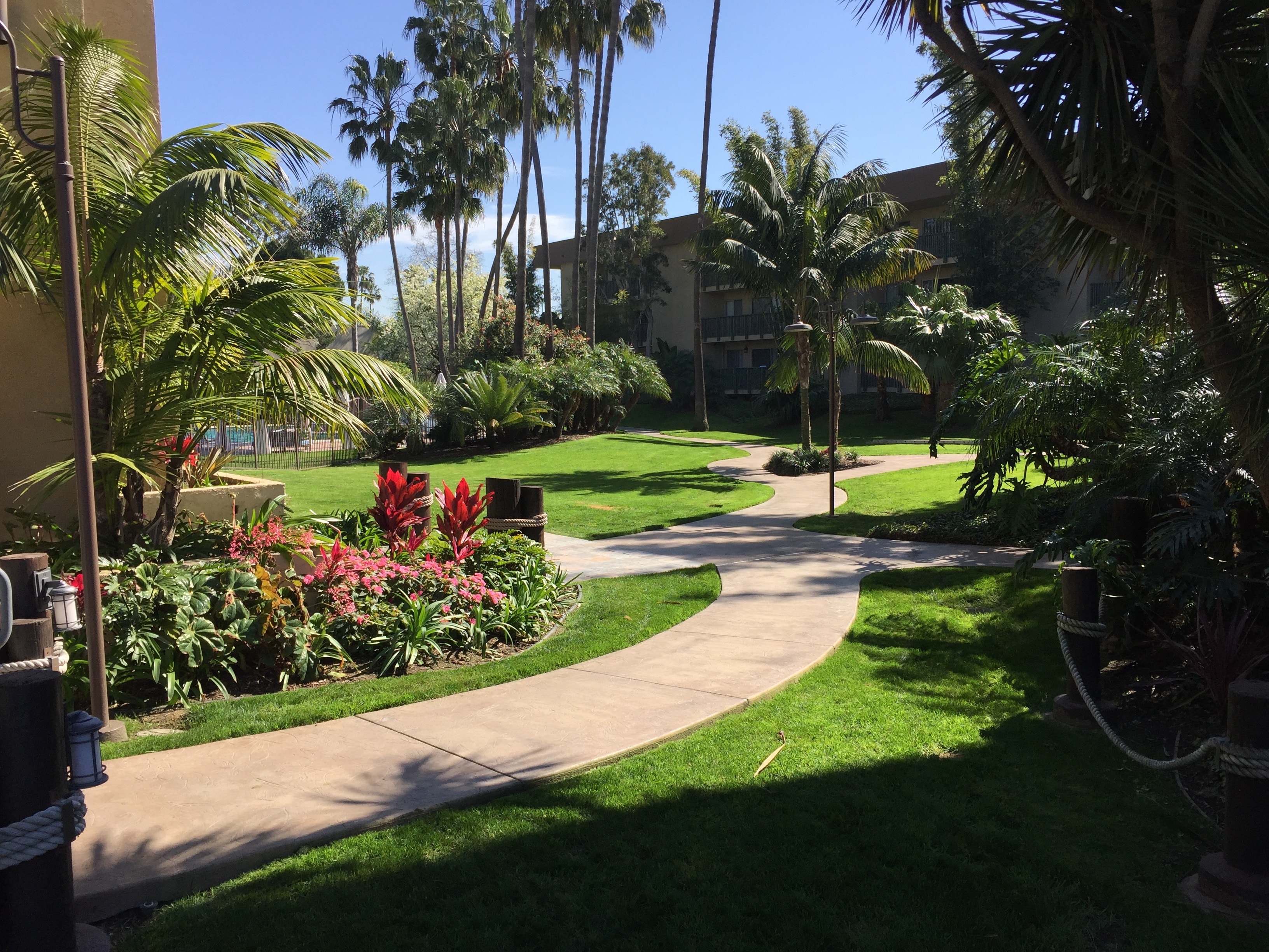 Commercial property tropical walkway and landscaped grounds maintained by Kirton Commercial Landscaping, Inc.