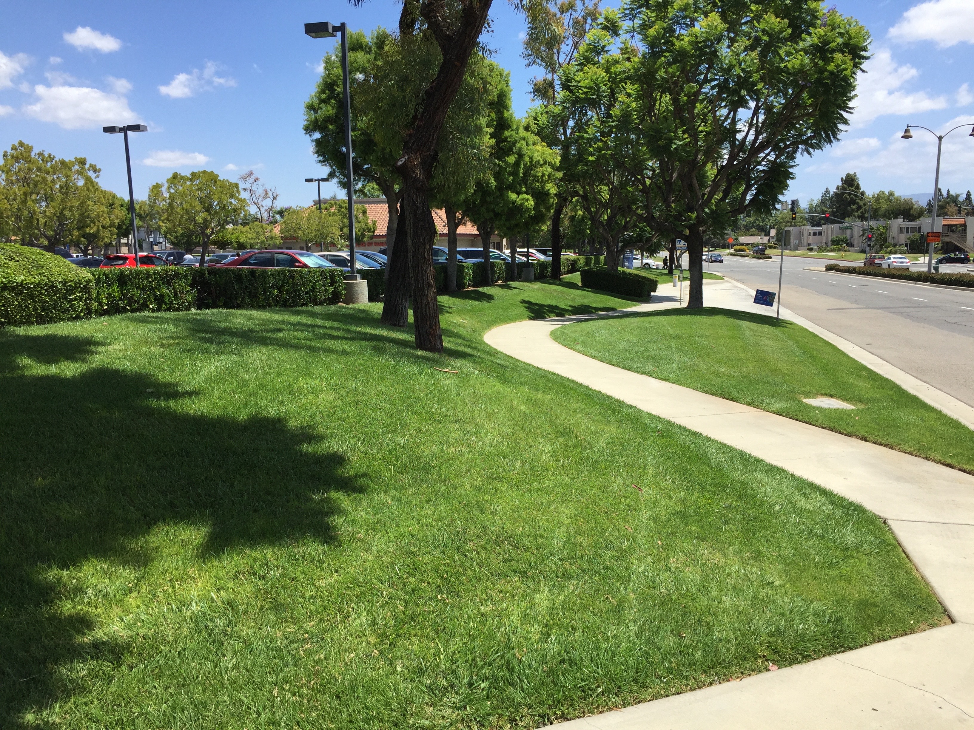 Commercial restaurant property with well-maintained lawn and grounds by Kirton Commercial Landscaping, Inc.
