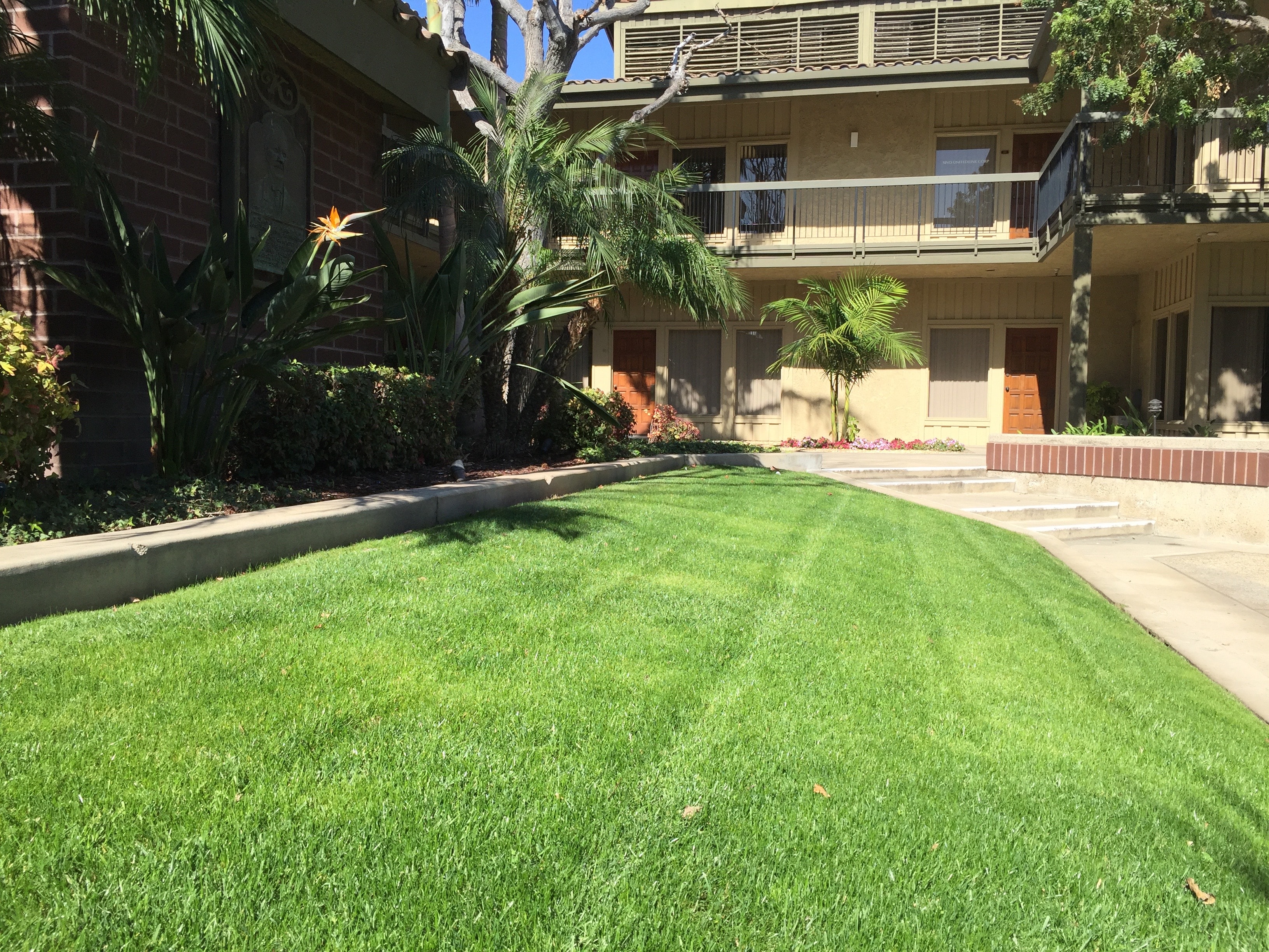 Commercial courtyard with blooming crape myrtles and manicured grounds maintained by Kirton Commercial Landscaping, Inc.